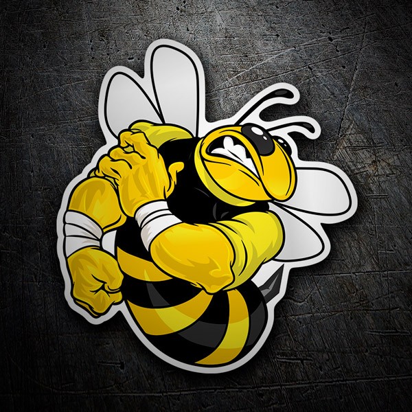 Adesivi per Auto e Moto: Bee