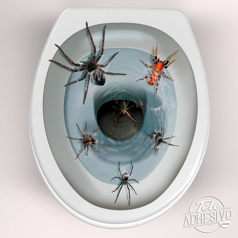Adesivi Murali: I ragni che esce dal water