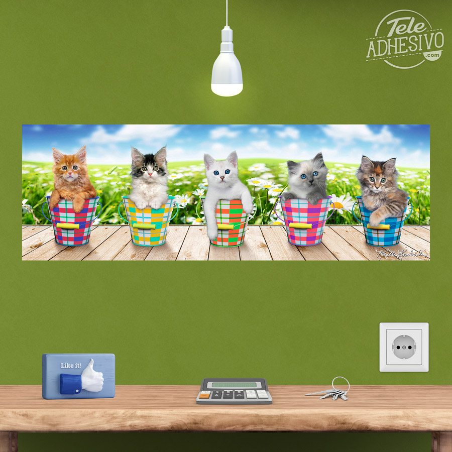 Adesivi Murali: Poster adesivo 5 gattini
