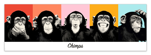 Adesivi Murali: Poster adesivo di 5 scimpanzé