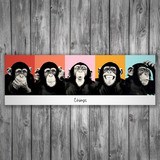 Adesivi Murali: Poster adesivo di 5 scimpanzé 3