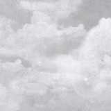 Adesivi Murali: Nuvole temporalesche 3
