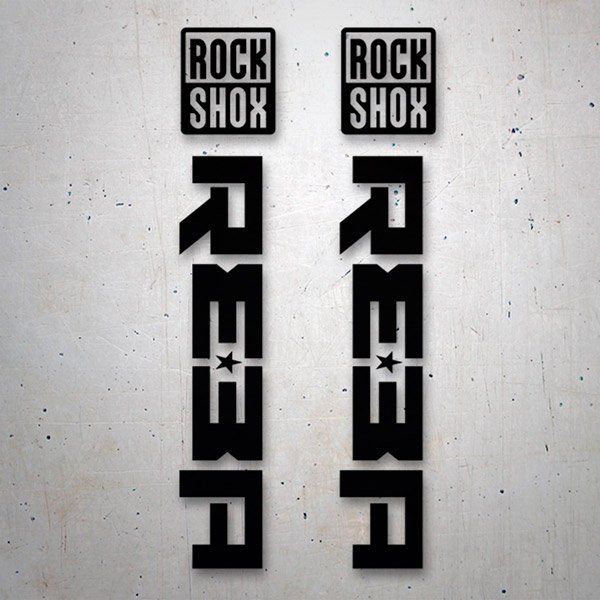 Adesivi per Auto e Moto: Set Forchette Rock Shox Reba