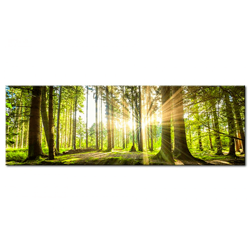 Altri prodotti: Luce diurna