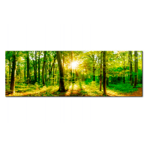 Altri prodotti: Foresta magica