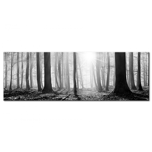 Altri prodotti: Foresta bianca e nera