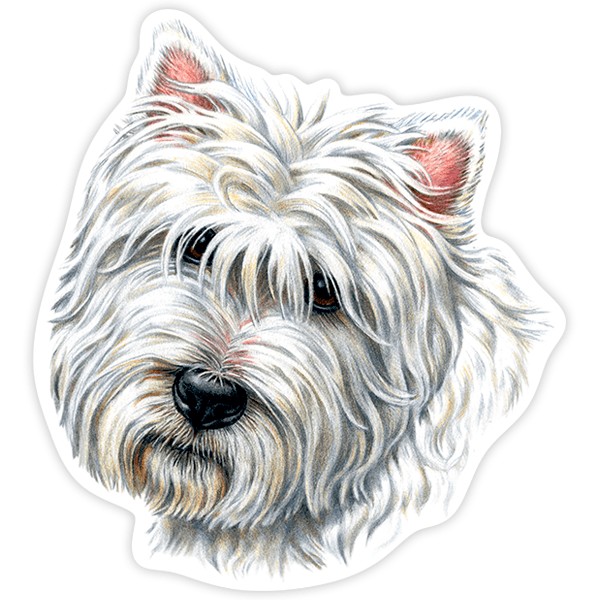 Adesivi per Auto e Moto: West Highland Terrier