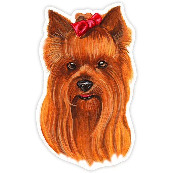 Adesivi per Auto e Moto: Yorkshire Terrier