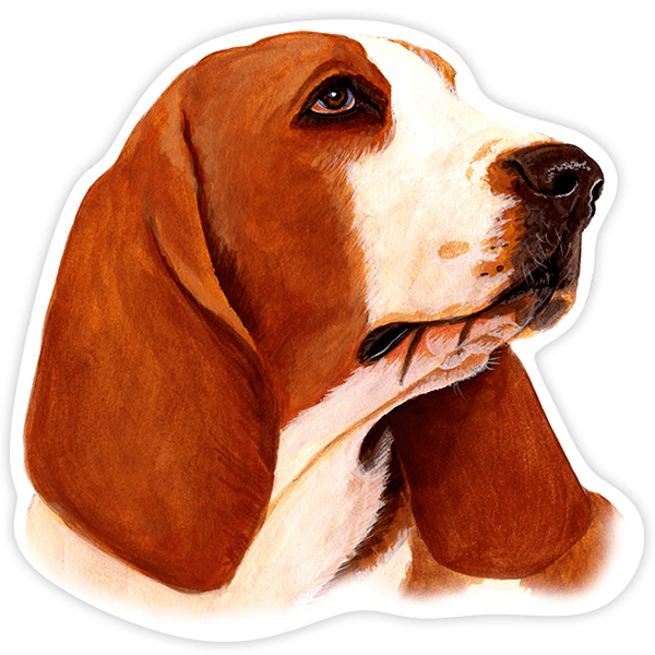 Adesivi per Auto e Moto: Basset Hound rosso