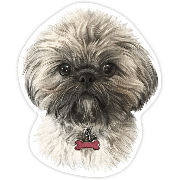 Adesivi per Auto e Moto: Shih Tzu tibetano