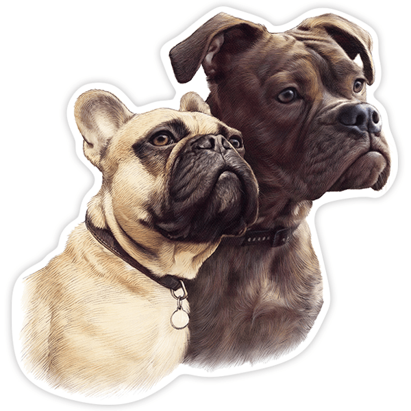 Adesivi per Auto e Moto: Coppia di Bulldog Francesi