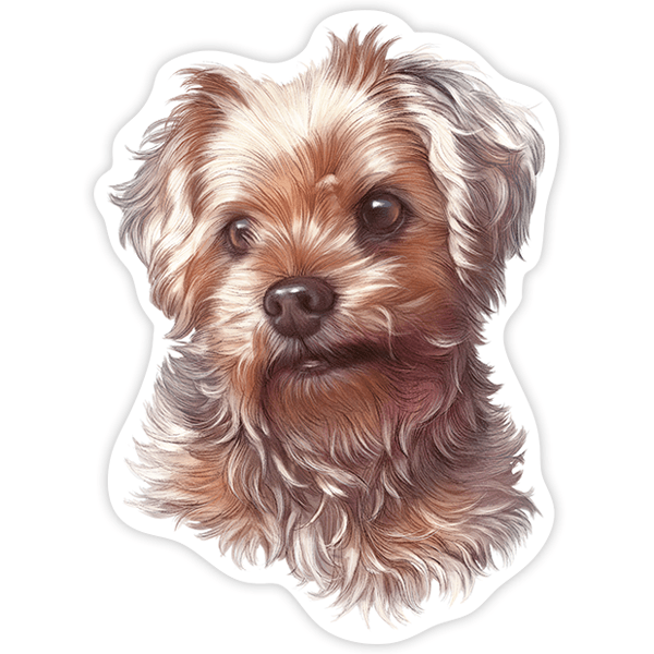 Adesivi per Auto e Moto: Yorkshire Terrier scozzese