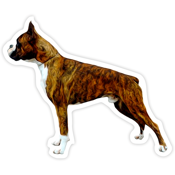 Adesivi per Auto e Moto: Boxer Tigrato