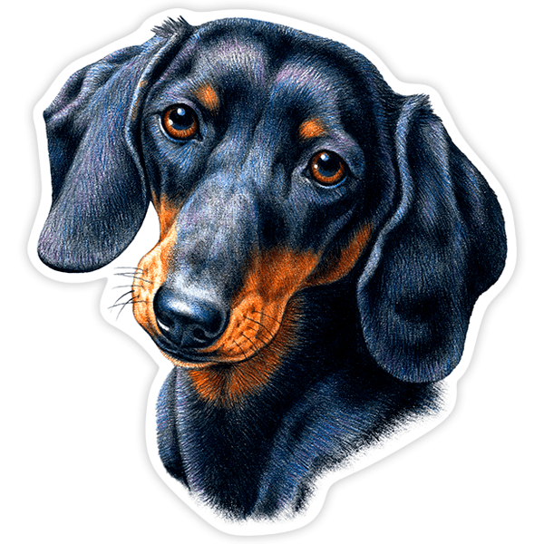 Adesivi per Auto e Moto: Bassotto (Cane Salsiccia)
