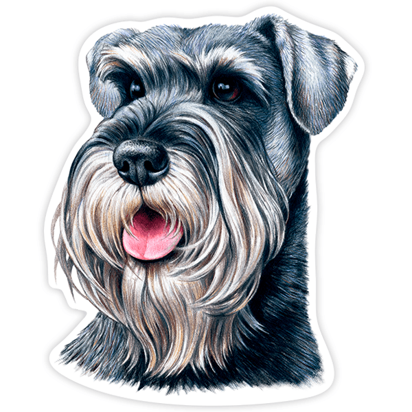 Adesivi per Auto e Moto: Schnauzer