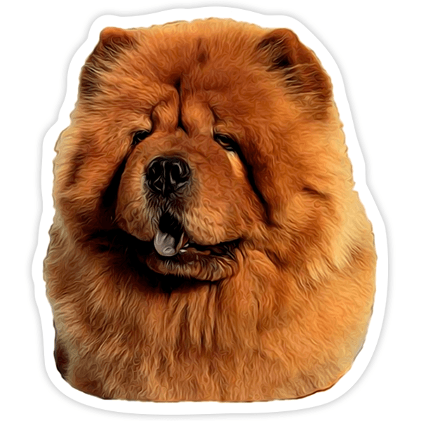 Adesivi per Auto e Moto: Chow Chow