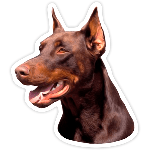 Adesivi per Auto e Moto: Doberman