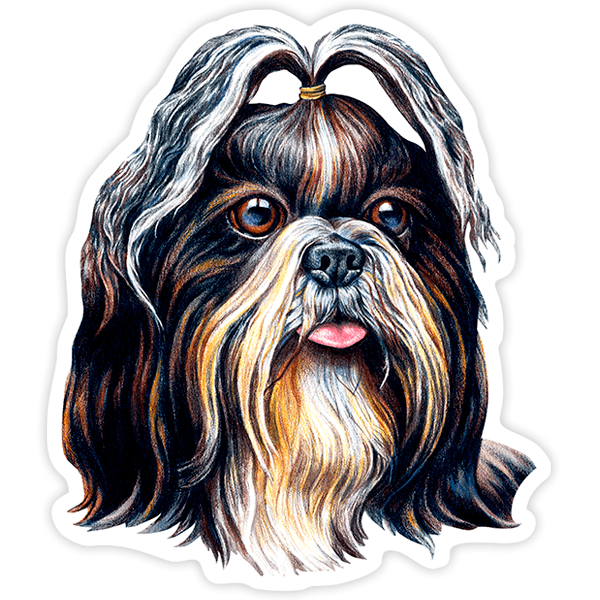 Adesivi per Auto e Moto: Shih Tzu