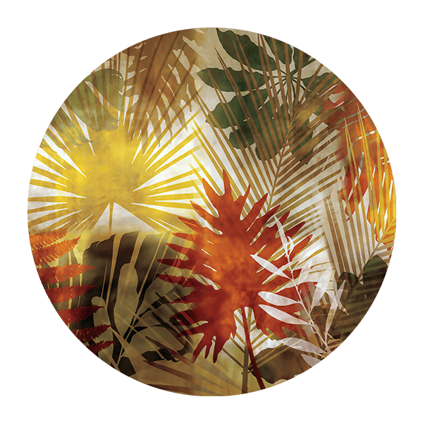 Adesivi Murali: Foglie di Palma Colorate