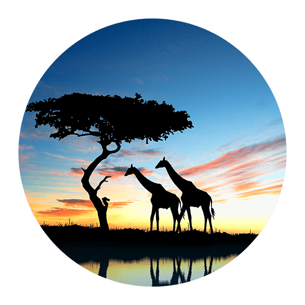 Adesivi Murali: Ombre di Giraffa