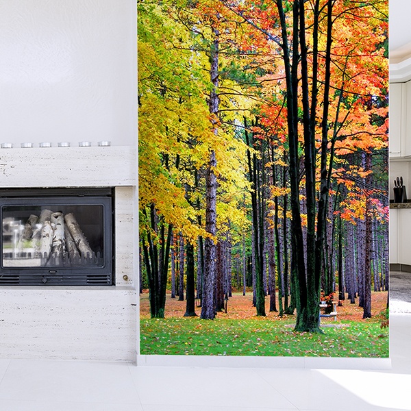Fotomurali : Foresta
