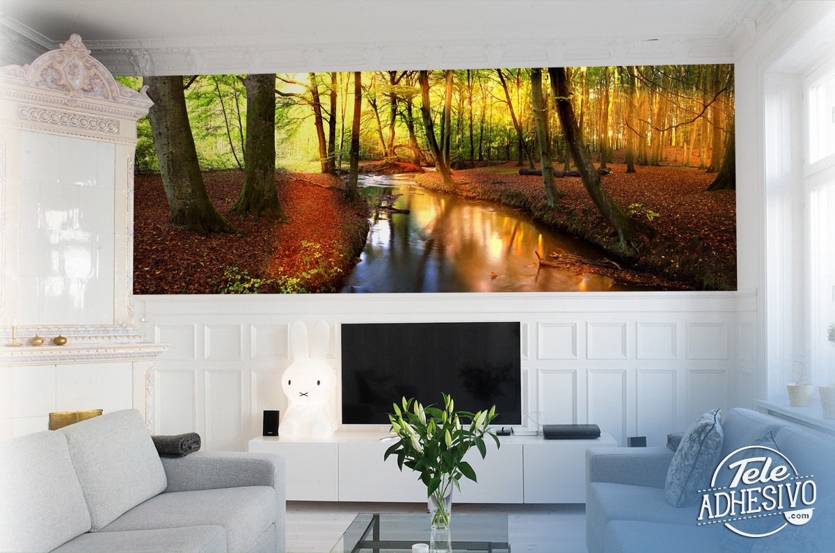 Forest river<br />
