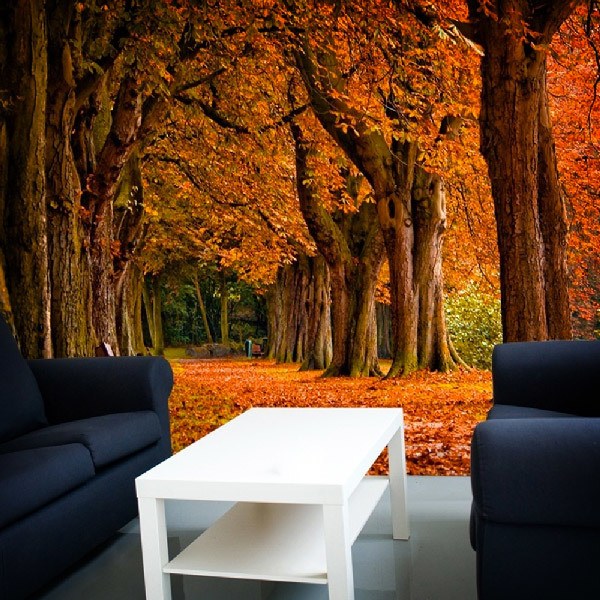 Fotomurali : Parcheggiare in autunno