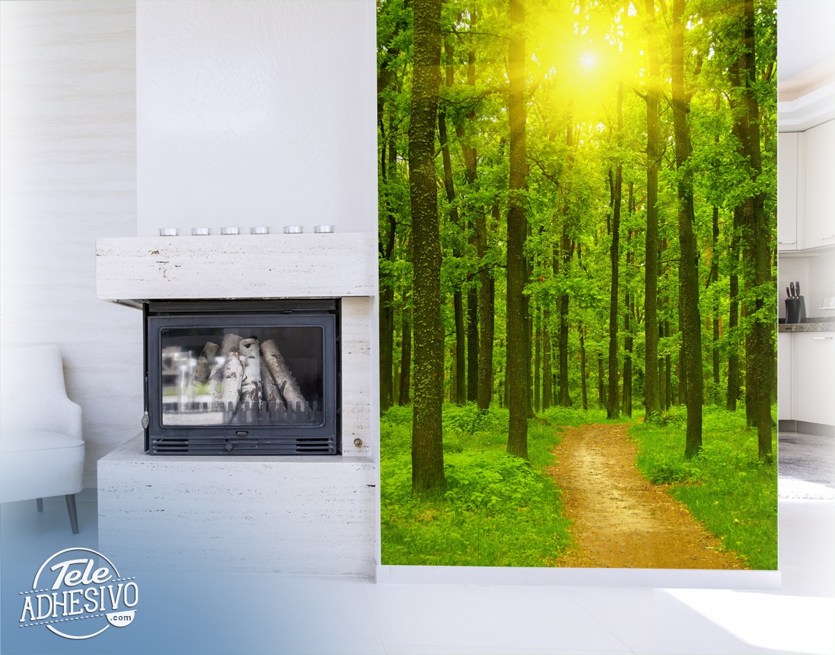 Percorso del sole nel verde della foresta<br />