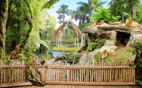Fotomurali : Animali della giungla