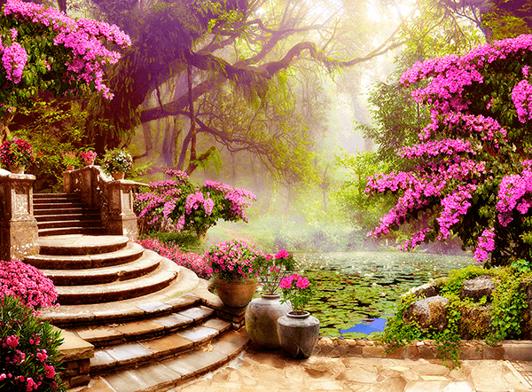 Fotomurali : Il giardino delle ninfee