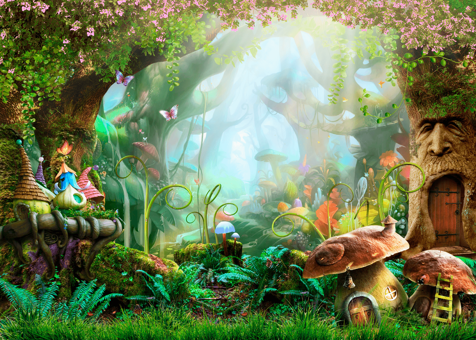 Fotomurali : Foresta di fantasia