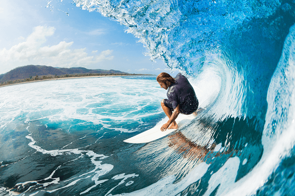 Fotomurali : Surfando