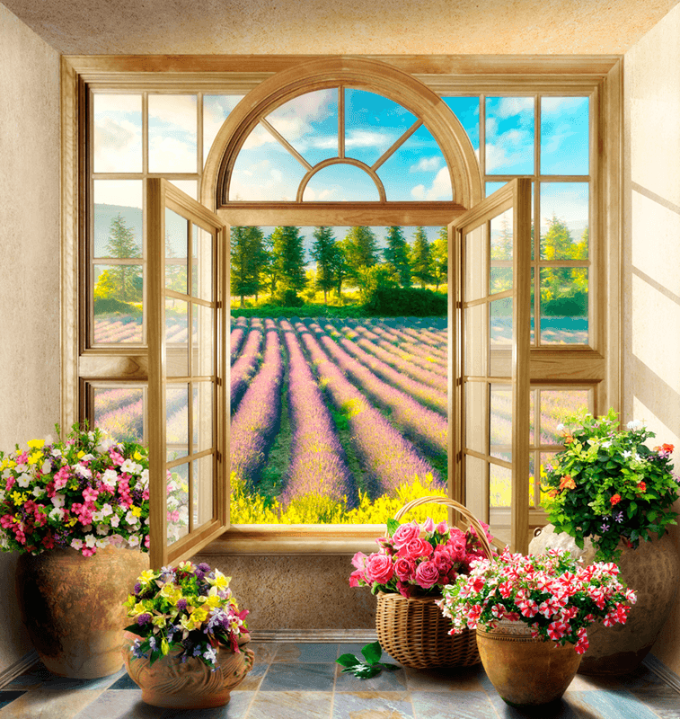 Fotomurali : Finestra sul campo Lavanda