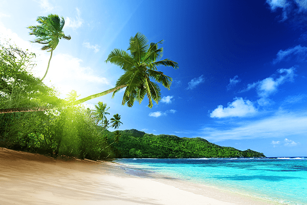 Fotomurali : Spiaggia Cubana