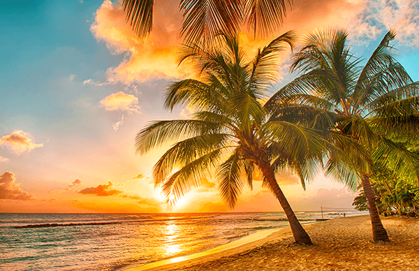 Fotomurali : Spiaggia Hawaiana