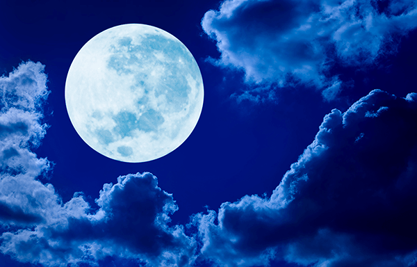 Fotomurali : Luna piena nella notte blu