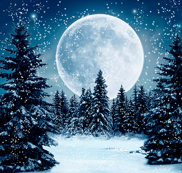 Fotomurali : Luna sulla foresta innevata