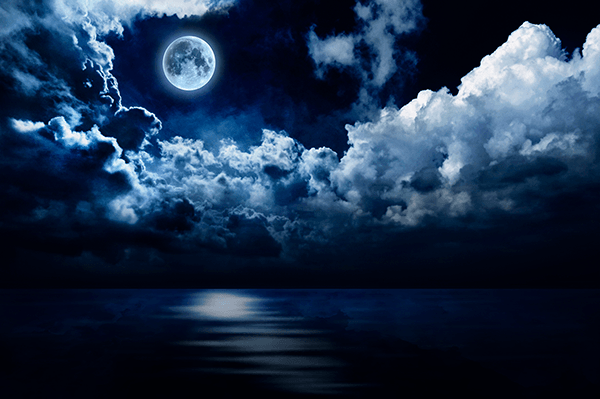 Fotomurali : Luna piena sull'oceano