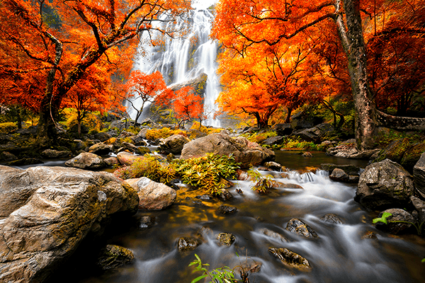 Fotomurali : Cascata in autunno