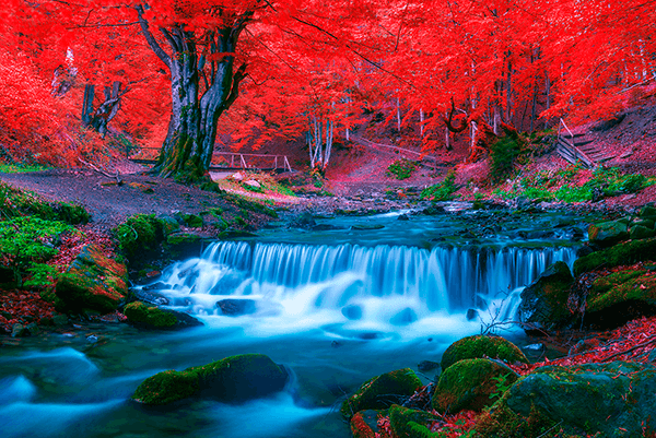 Fotomurali : Parco di Huay Mae Kamin Kamin