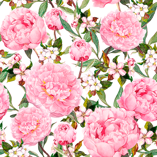 Fotomurali : Acquerello peonie