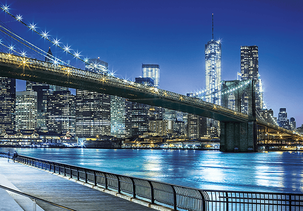 Fotomurali : Notte blu a Manhattan