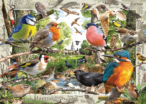 Fotomurali : Catalogo Uccelli