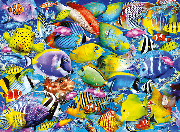 Fotomurali : Collezione di pesci colorati