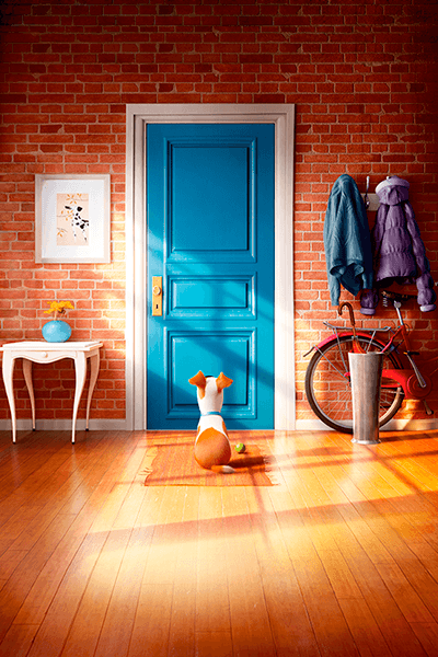 Fotomurali : Pets vita da animali