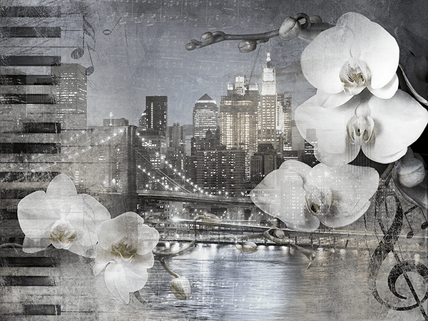 Fotomurali : Collage Orchidee a New York