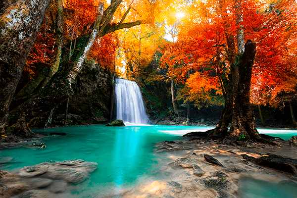 Fotomurali : Cascata profonda in autunno