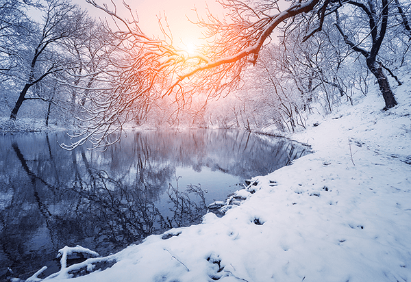 Fotomurali : L'alba in inverno