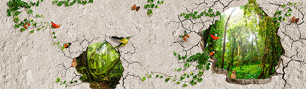 Fotomurali : Il muro della libertà