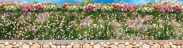 Fotomurali : Muro con fiori
